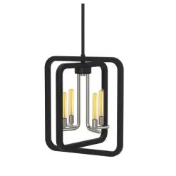 Defong 4-Light Black Pendant Lighting Fixture